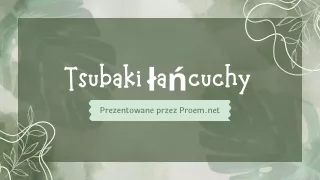 Tsubaki łańcuchy