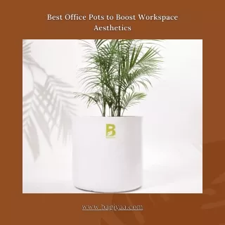 Best Office Pots to Boost Workspace Aesthetics
