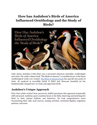 How has Audubon's Birds of America Influenced Ornithology and the Study of Birds