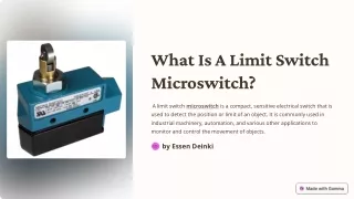 What-Is-A-Limit-Switch-Microswitch