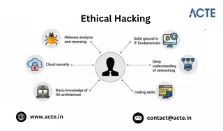 Which ethical hacking course is best
