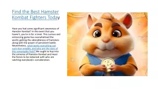 Find the Best Hamster Kombat Fighters Today