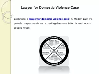 Lawyer for Domestic Violence Case