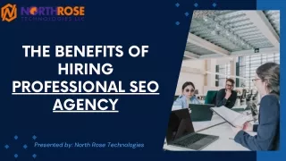 The Benefits of Hiring a Professional SEO Agency