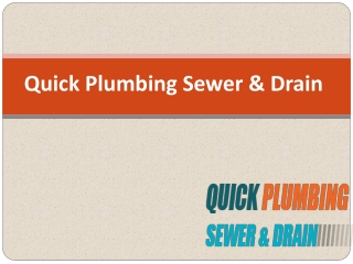 Significance of Reliable and Fast Plumbing Services in Palo