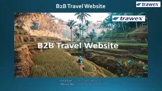 B2B Travel Website