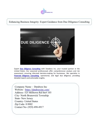 Enhancing Business Integrity Expert Guidance from Due Diligence Consulting
