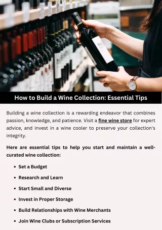 How to Build a Wine Collection: Essential Tips