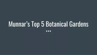 Munnar’s Top 5 Botanical Gardens
