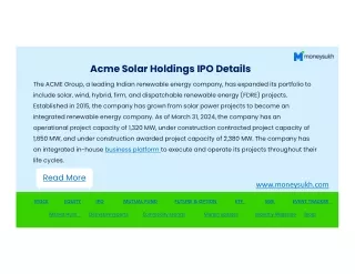 Acme Solar Holdings IPO