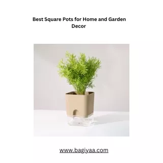 Best Square Pots for Home and Garden Decor