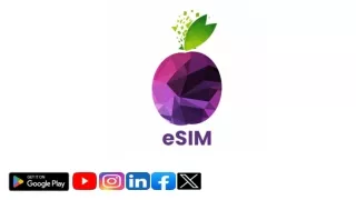 SIM  Travel