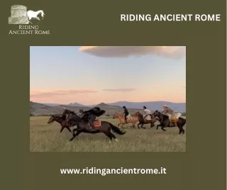 Equestrian Riding: Experience the Thrill of Horseback Adventures