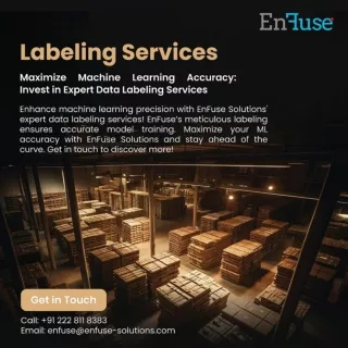 Invest in Expert Data Labeling Services - Contact EnFuse Solutions Today!