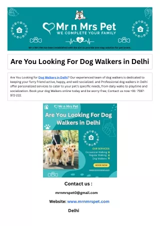 Are You Looking For Dog Walkers in Delhi