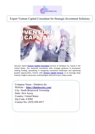 Expert Venture Capital Consultant for Strategic Investment Solutions