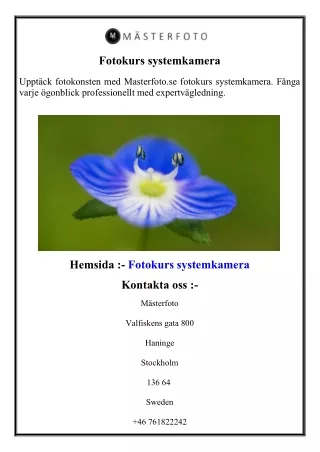 Fotokurs systemkamera