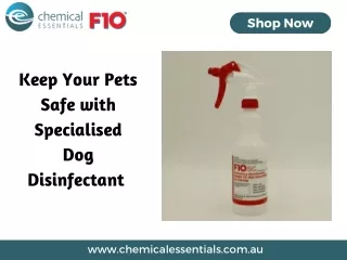Keep Your Pets Safe with Specialised Dog Disinfectant
