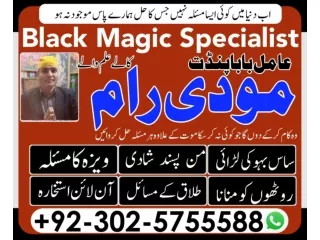 love marriage specialist in hindi