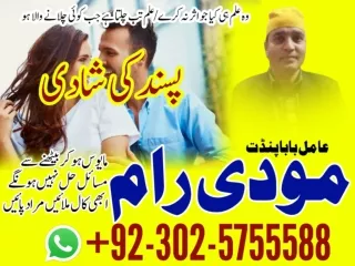 Best Love marriage specialist