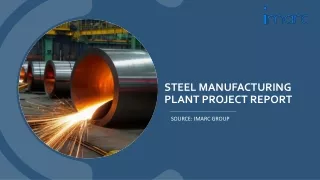 Steel Manufacturing Plant Project Report