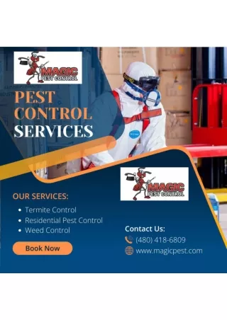 Curious About Pest Control Services in Gilbert, Phoenix, Queen Creek, AZ