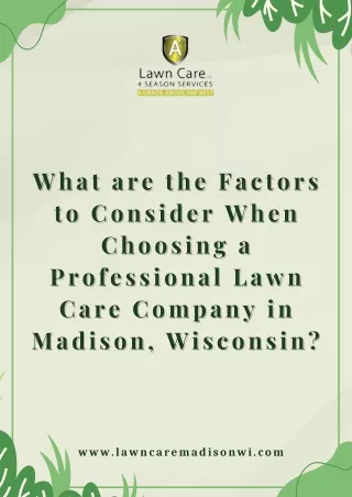 What are the Factors to Consider When Choosing a Professional Lawn Care Company