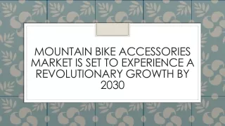 Mountain Bike Accessories Market