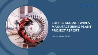 Copper Magnet Wires Manufacturing Plant Project Report