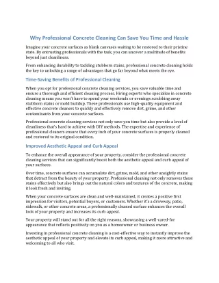Why_Professional_Concrete_Cleaning_Can_Save_You_Time_and_Hassle