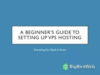 A Beginner's Guide to Setting Up VPS Hosting