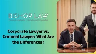 Corporate Lawyer vs. Criminal Lawyer: What Are the Differences?