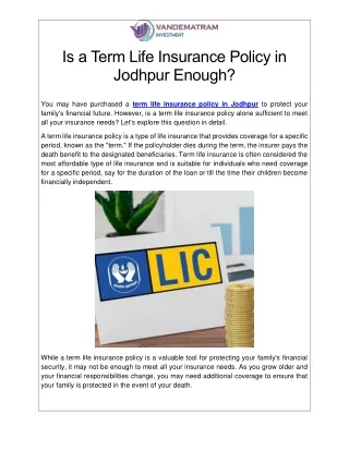 Is a Term Life Insurance Policy in Jodhpur Enough