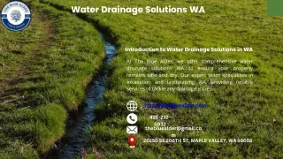 Water Drainage Solutions WA : The blue Alder