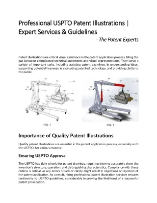 Professional USPTO Patent Illustrations | Expert Services & Guidelines | TPE