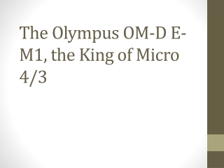 The Olympus OM-D E-M1