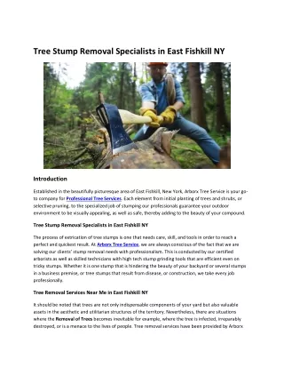 Tree Stump Removal Specialists in East Fishkill NY