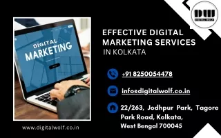 Effective Digital Marketing Services in Kolkata at Digital Wolf