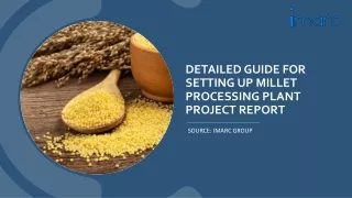 Millet Processing Plant Project Report 2024 PDF