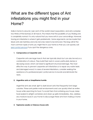 What are Different types of Ant infestation you might find in your Home