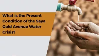 What is the Present Condition of the Saya Gold Avenue Water Crisis