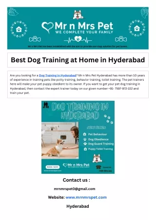 Best Dog Training at Home in Hyderabad