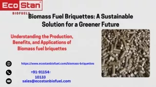 Biomass Fuel Briquettes A Sustainable Solution for a Greener Future