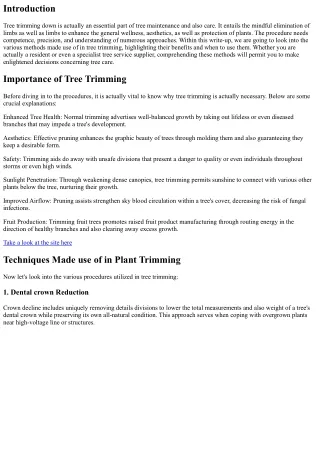 Exploring the Various Approaches Used in Tree Trimming