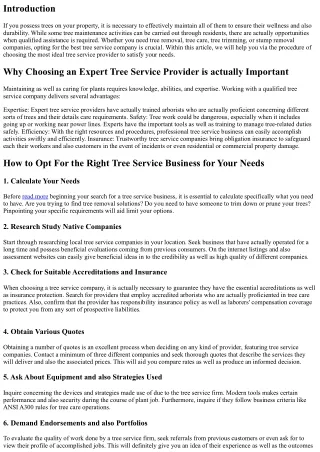 How to Pick the Right Tree Service Provider for Your Demands