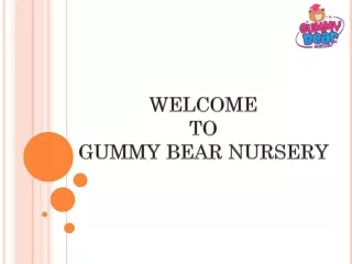 Affordable Nursery in Dubai Gummy Bear Nursery