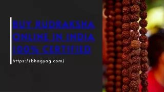 Buy Rudraksha Online in India 100% Certified