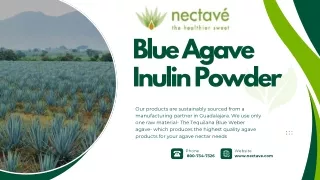 Blue Agave Inulin Powder by Nectave Healthcare