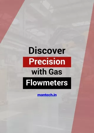 Discover Precision with Gas FlowmetersPPT