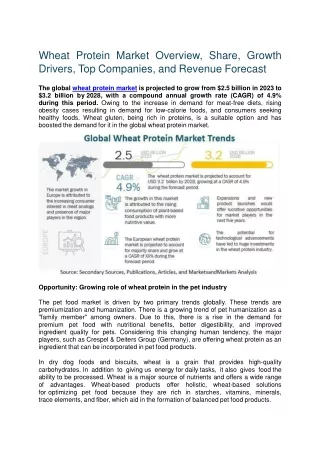 Wheat Protein Market Overview, Share, Growth Drivers, Top Companies, and Revenue